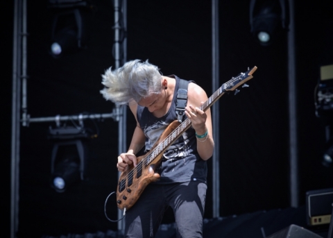 Fotografía de rootsofrock
